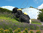 Eden Project - Bee Sculpture - July 2014
