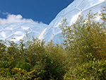 Eden Project - Biomes - July 2014