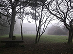 Misty Day - St Johns In The Fields - St Ives - March 2014