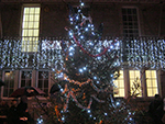 Christmas Lights - St Ives Guildhall - December 2013