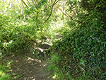 Carnstabba Hill - St Ives - Cornwall - Path - Penbeagle Park