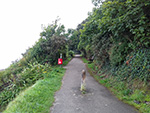 Walk  - Coast Path - St Ives - Carbis Bay