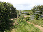 St Ives - Hellesveor - Field Path - Stile