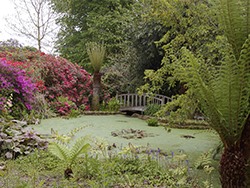 Trengwainton Garden 