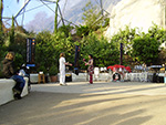 Eden Project - Community Arts Day - February 2008
