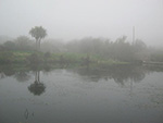 Consols Pond - St Ives - March 2012