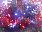 Christmas Tree Festival - St Ives Cornwall - December 2015 Christmas Tree Festival - St Ives Cornwall - December 2015