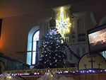 Christmas Tree Festival - St Ives Cornwall - December 2015 Christmas Tree Festival - St Ives Cornwall - December 2015