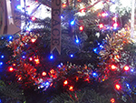 Christmas Tree Festival - St Ives Cornwall - December 2015 Christmas Tree Festival - St Ives Cornwall - December 2015