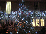 Christmas Lights - St Ives Guildhall - December 2013 Christmas Lights - St Ives Guildhall - December 2013