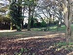 St Ives Cornwall - Upalong - Nature Reserve - St John's In The Fields