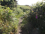 Carnstabba Hill - St Ives - Cornwall - Pathway Up the Hill