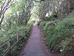 Walk - Coast Path - St Ives - Carbis Bay Walk - Coast Path - St Ives - Carbis Bay