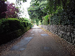 Walk - Coast Path - St Ives - Carbis Bay Walk - Coast Path - St Ives - Carbis Bay
