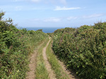 St Ives - Hellesveor - Path to the Coast St Ives - Hellesveor - Path to the Coast