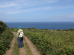 St Ives - Hellesveor - Path to the Coast St Ives - Hellesveor - Path to the Coast