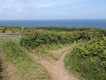 St Ives - Hellesveor - Path to the Coast St Ives - Hellesveor - Path to the Coast
