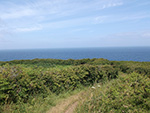 St Ives - Hellesveor - Path to the Coast St Ives - Hellesveor - Path to the Coast