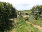 St Ives - Hellesveor - Field Path - Stile St Ives - Hellesveor - Field Path - Stile