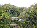 St Ives - Hellesveor - Path to Bullan's Lane St Ives - Hellesveor - Path to Bullan's Lane