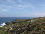 St Ives Cornwall - Walks - Hellesveor