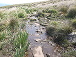 Hellesveor - Porthmeor - Coastal Path