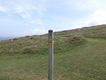 Hellesveor - Porthmeor - Waymarker