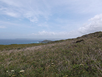 Hellesveor - Porthmeor - Coastal Path