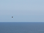 Hellesveor - Porthmeor - Cliffs - Hellesveor